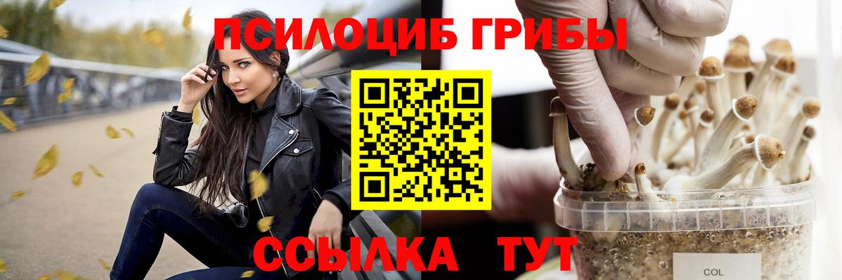 Железноводск  даркнет сайт  Псилоцибиновые грибы GOLDEN TEACHER  Вход с VPN  Галлюциногенные грибы прущие грибы 