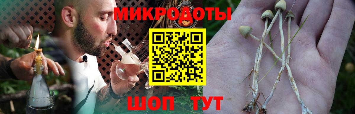 Псилоцибиновые грибы прущие грибы Железноводск